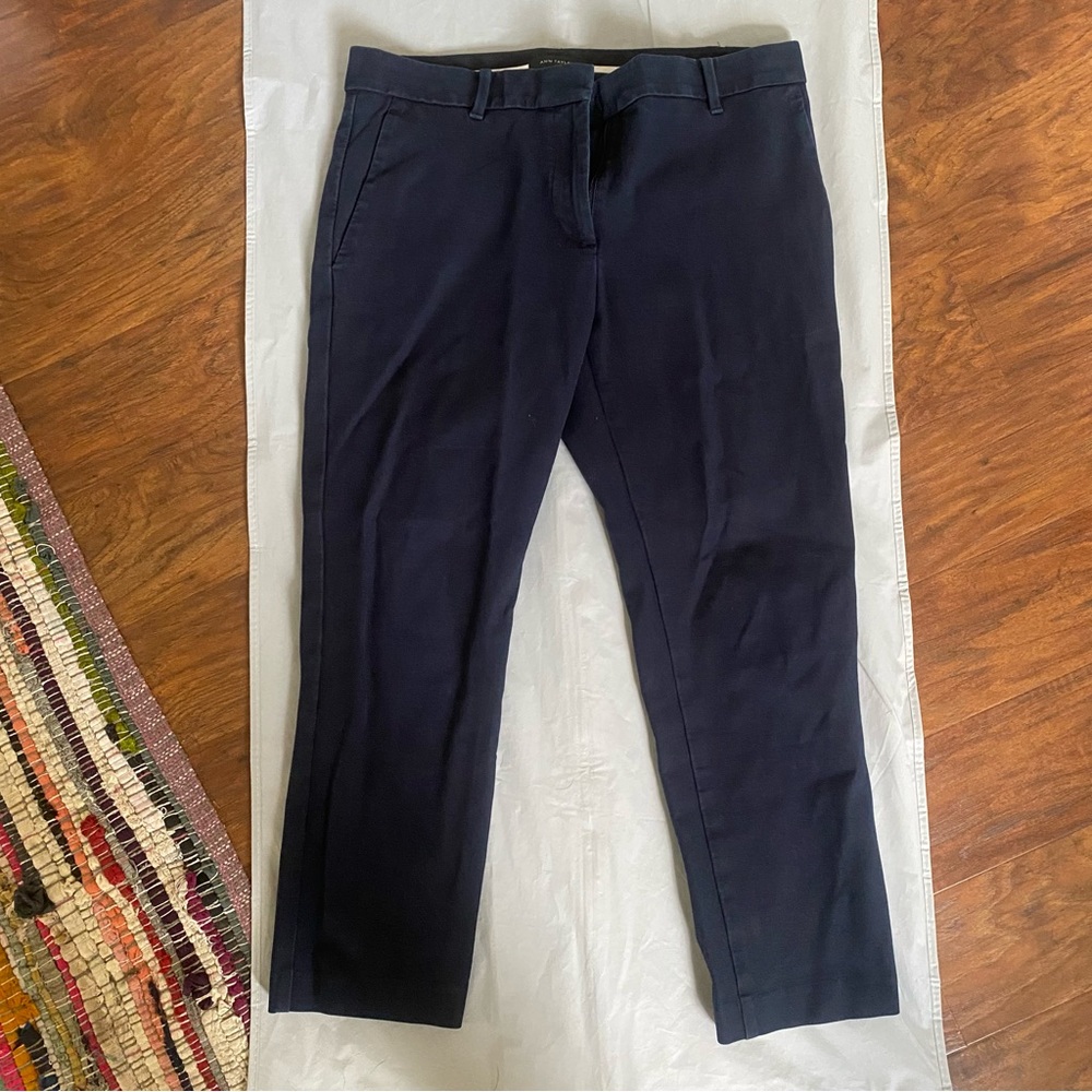 Ann Taylor Dress Pants (trousers)